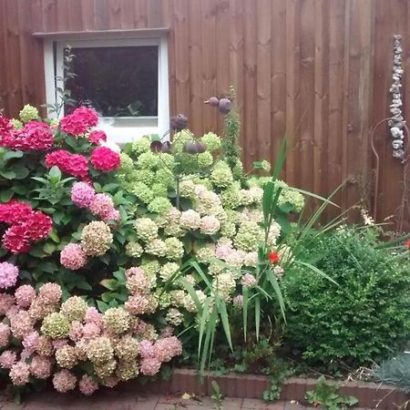 1 Raum Appartement Mit Kuechenzeile In Kappeln Bagian luar foto