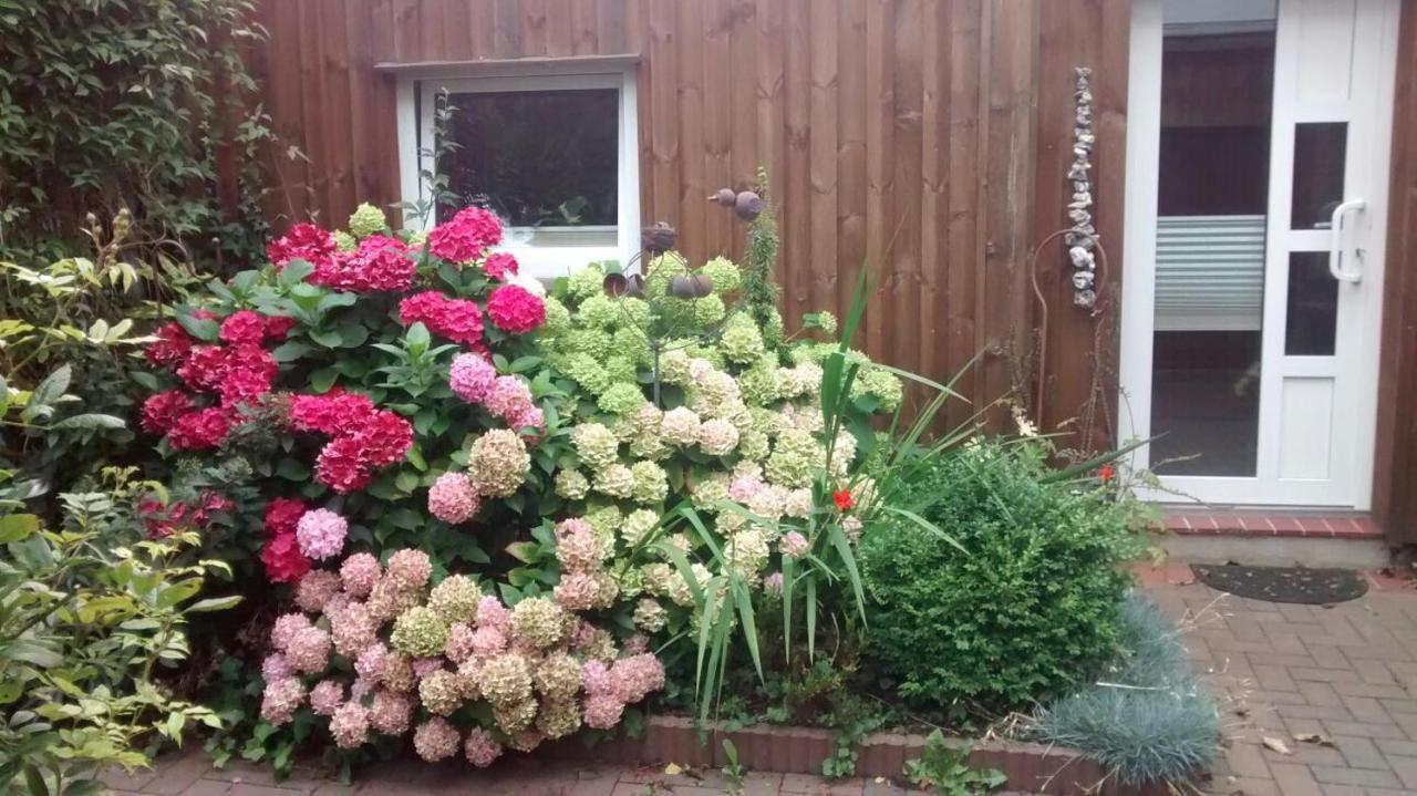 1 Raum Appartement Mit Kuechenzeile In Kappeln Bagian luar foto